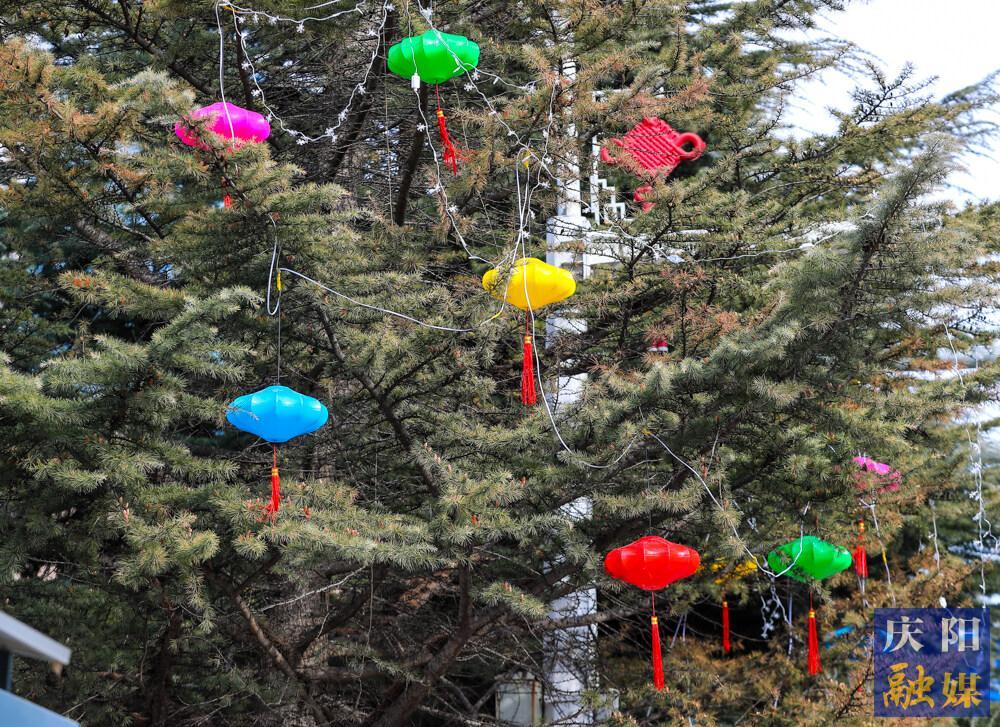【攝影報道】春節臨近，西峰區主要街道陸續懸掛裝飾燈籠